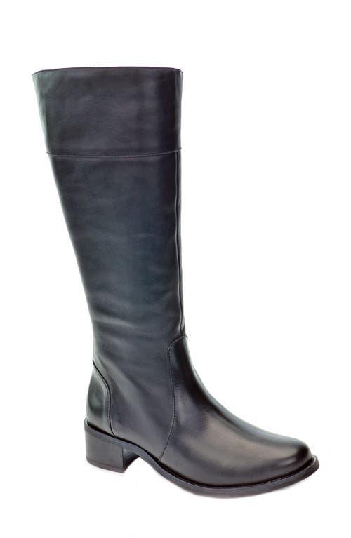 David Tate Ace Women's Shoes Product Image