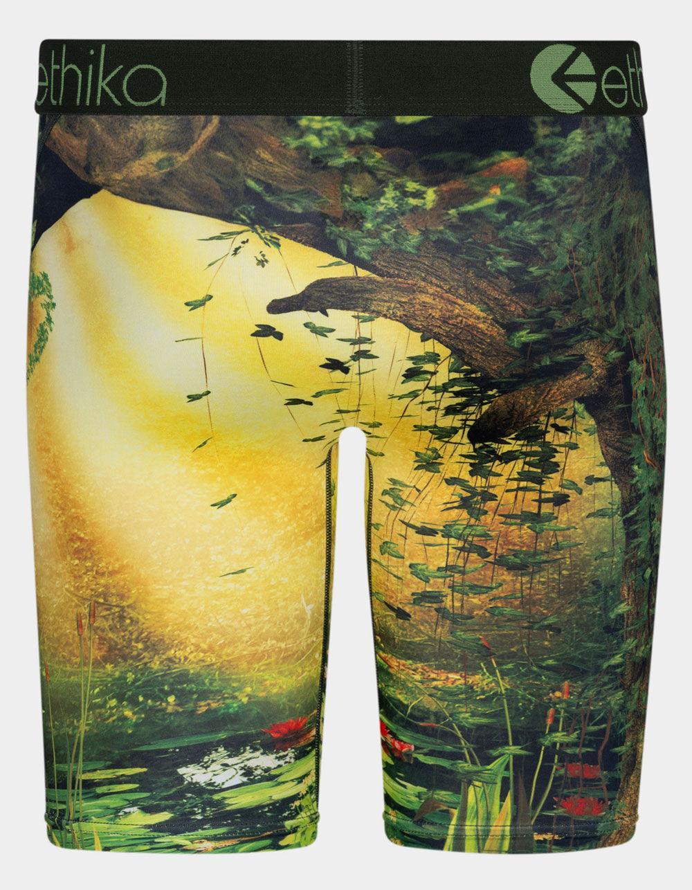 ETHIKA Bomber Petra Staple Mens Boxer Briefs Product Image