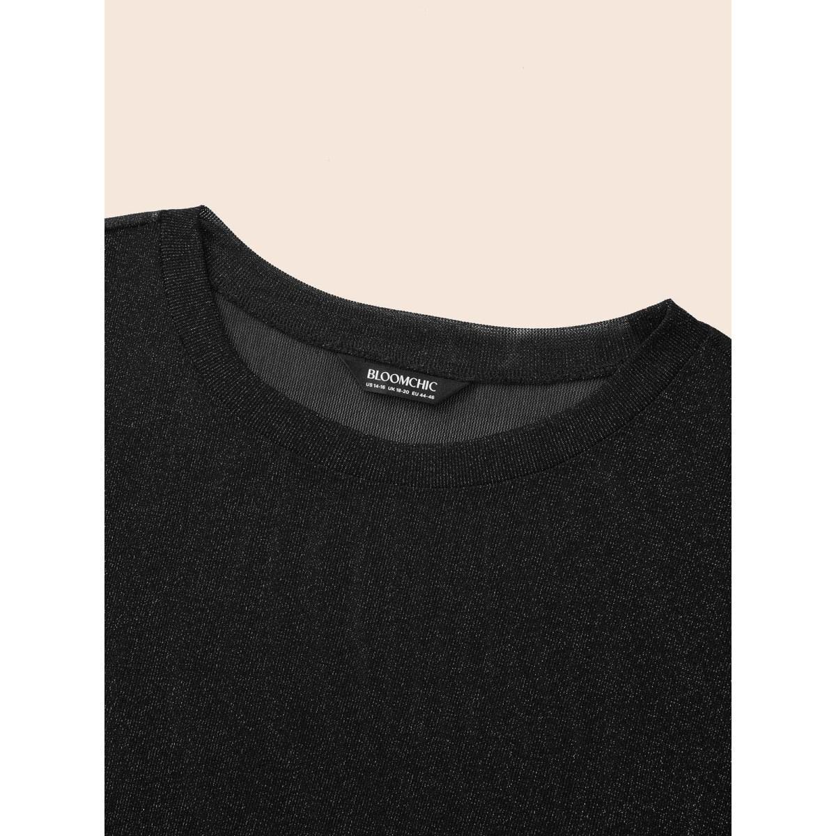 Plus Size Round Neck Luxe Mesh T-shirt Black Women Elegant See through Round Neck Everyday T-shirts BloomChic 26/4X Product Image