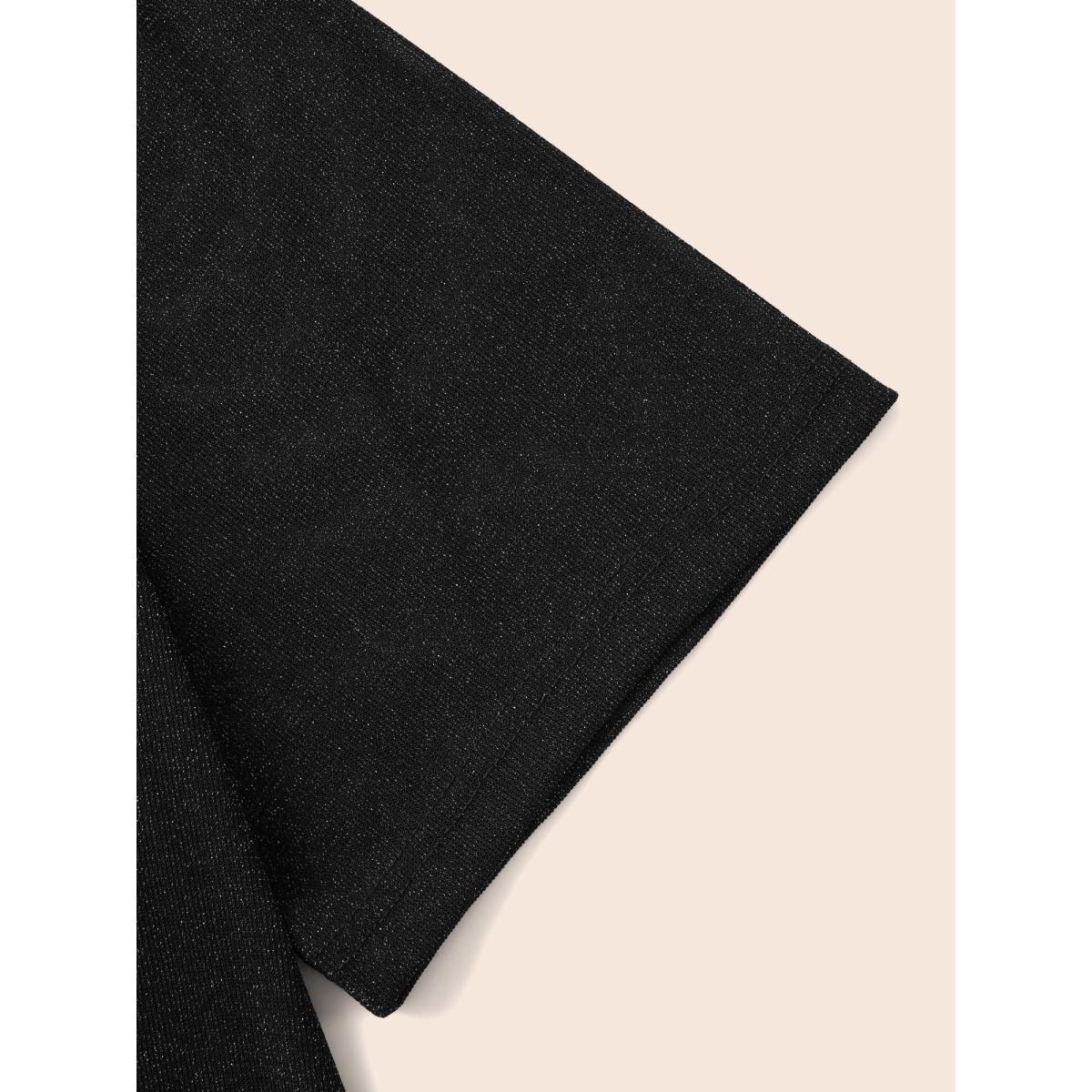 Plus Size Round Neck Luxe Mesh T-shirt Black Women Elegant See through Round Neck Everyday T-shirts BloomChic 26/4X Product Image