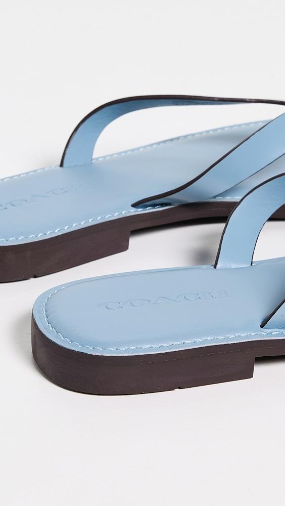 Coach Brianna Flip Flops | Shopbop Product Image