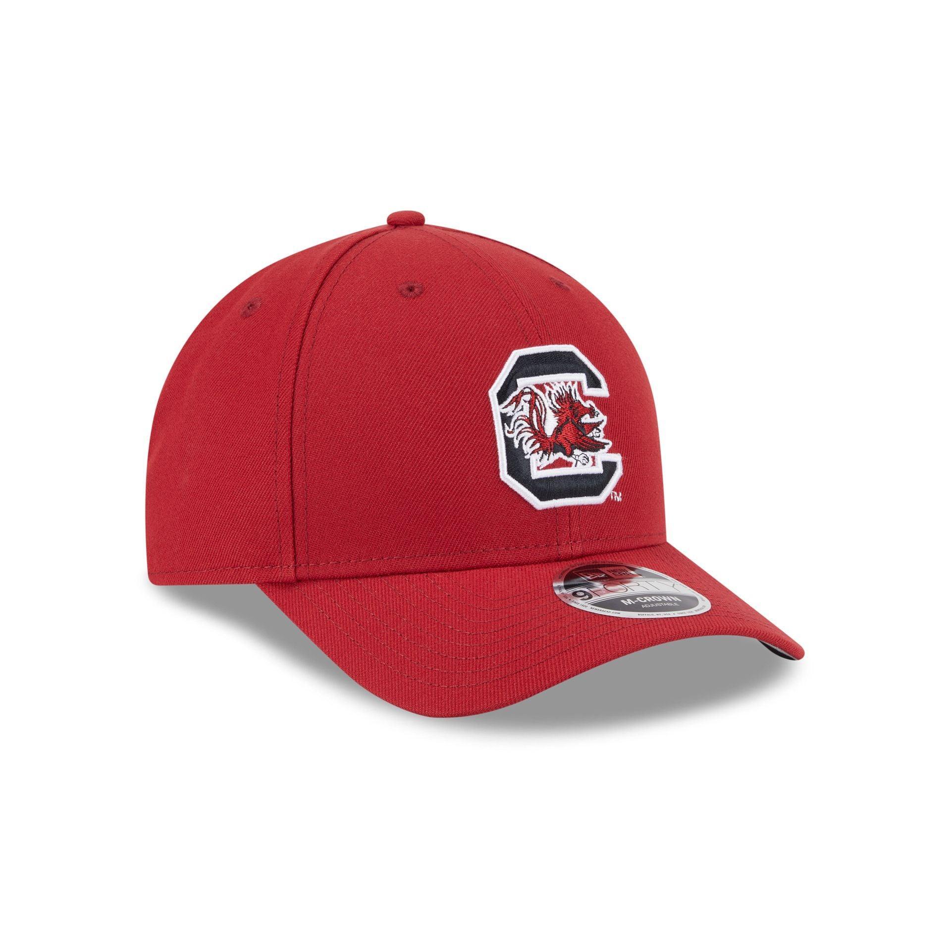 Chicago Cubs 2025 Batting Practice 9FORTY M-Crown Snapback Hat Male Product Image