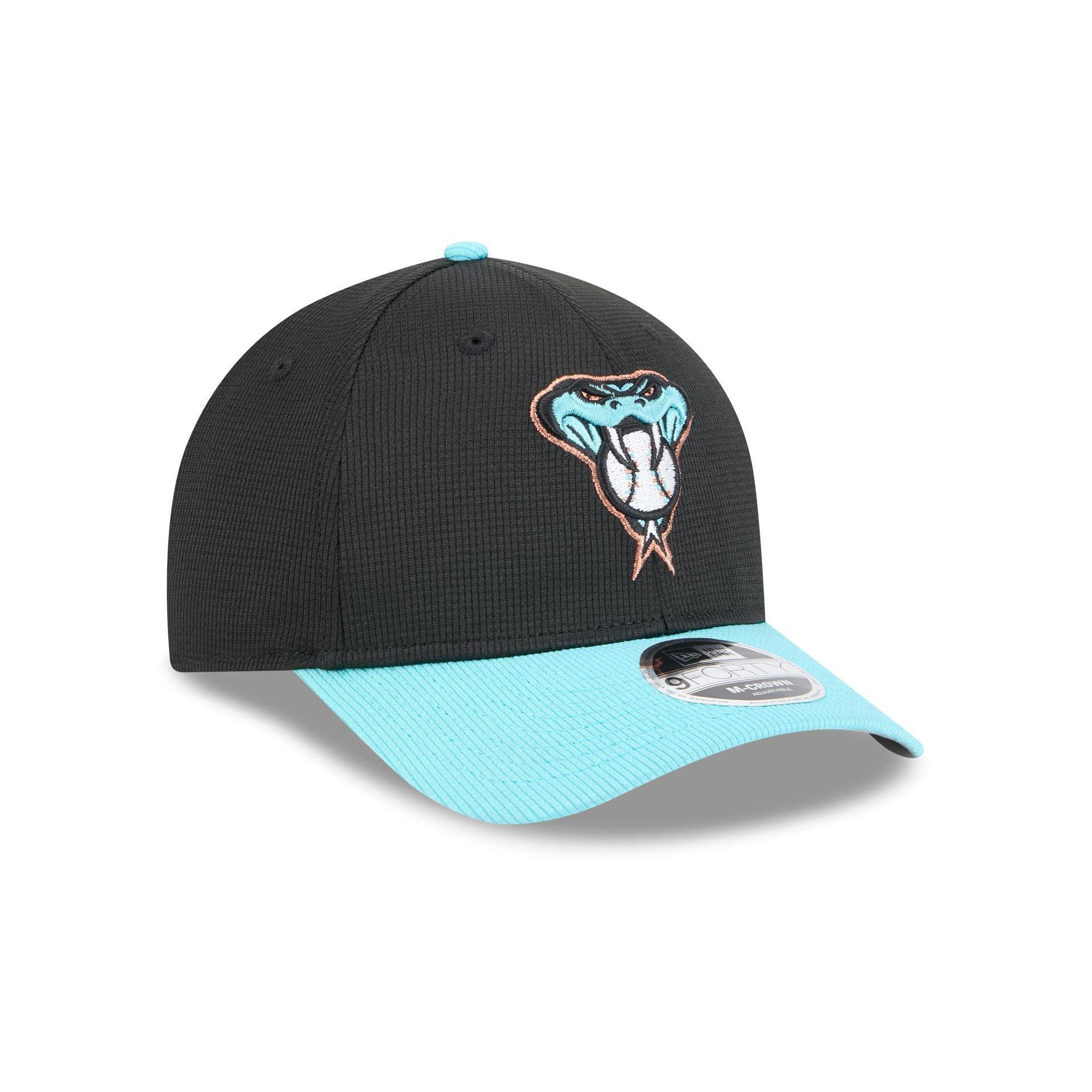 Arizona Diamondbacks 2025 Batting Practice 9FORTY M-Crown Snapback Hat Male Product Image