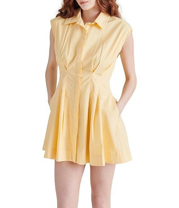 Steve Madden Maisha Point Collar Sleeveless Button Front Poplin Mini Dress Product Image