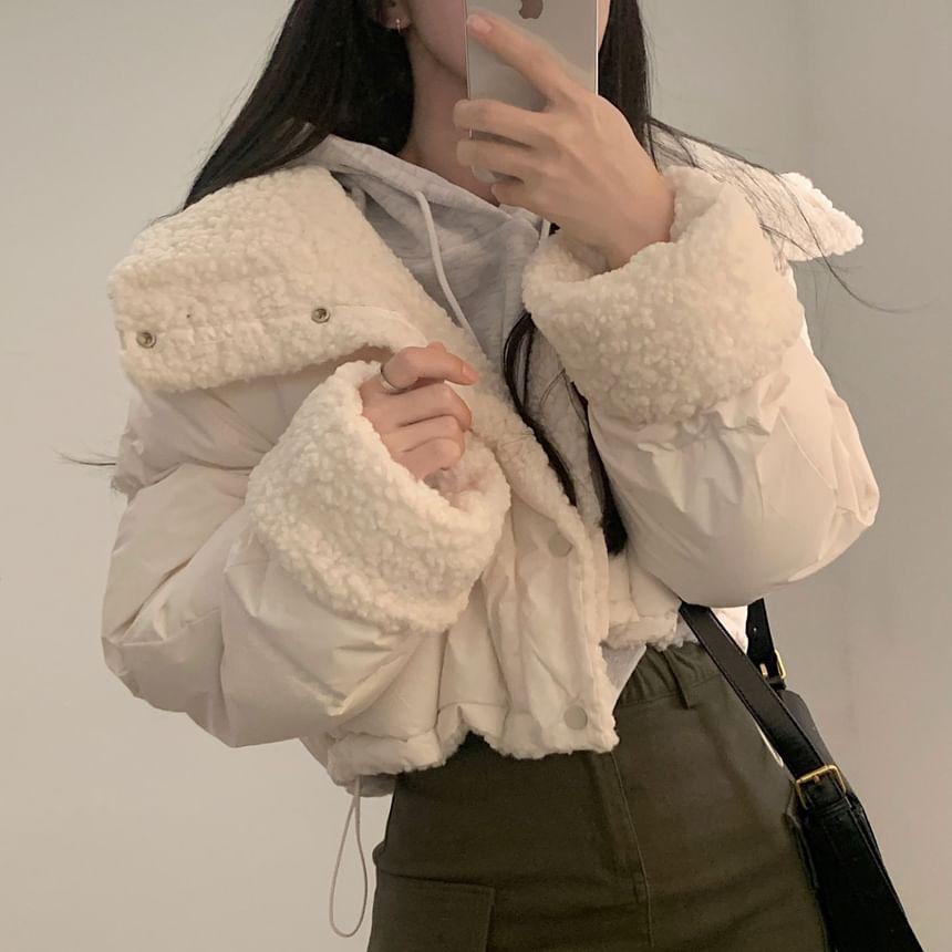 Long Sleeve Stand Collar Faux Shearling Cropped Puffer Jacket Product Image