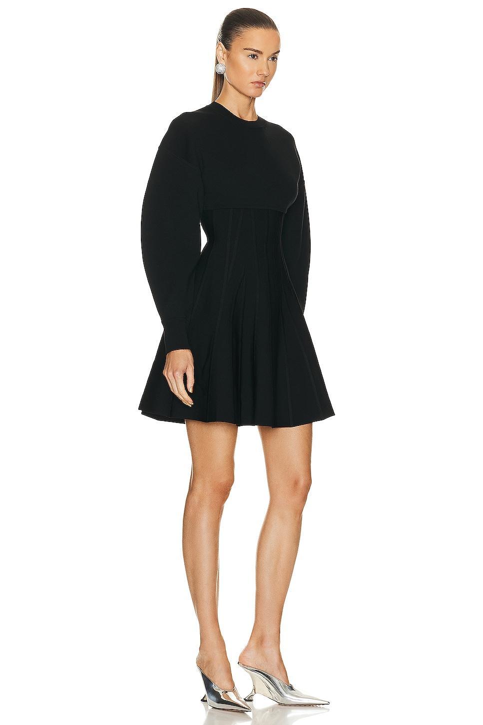 Alexander McQueen Corset Crewneck Mini Dress Product Image