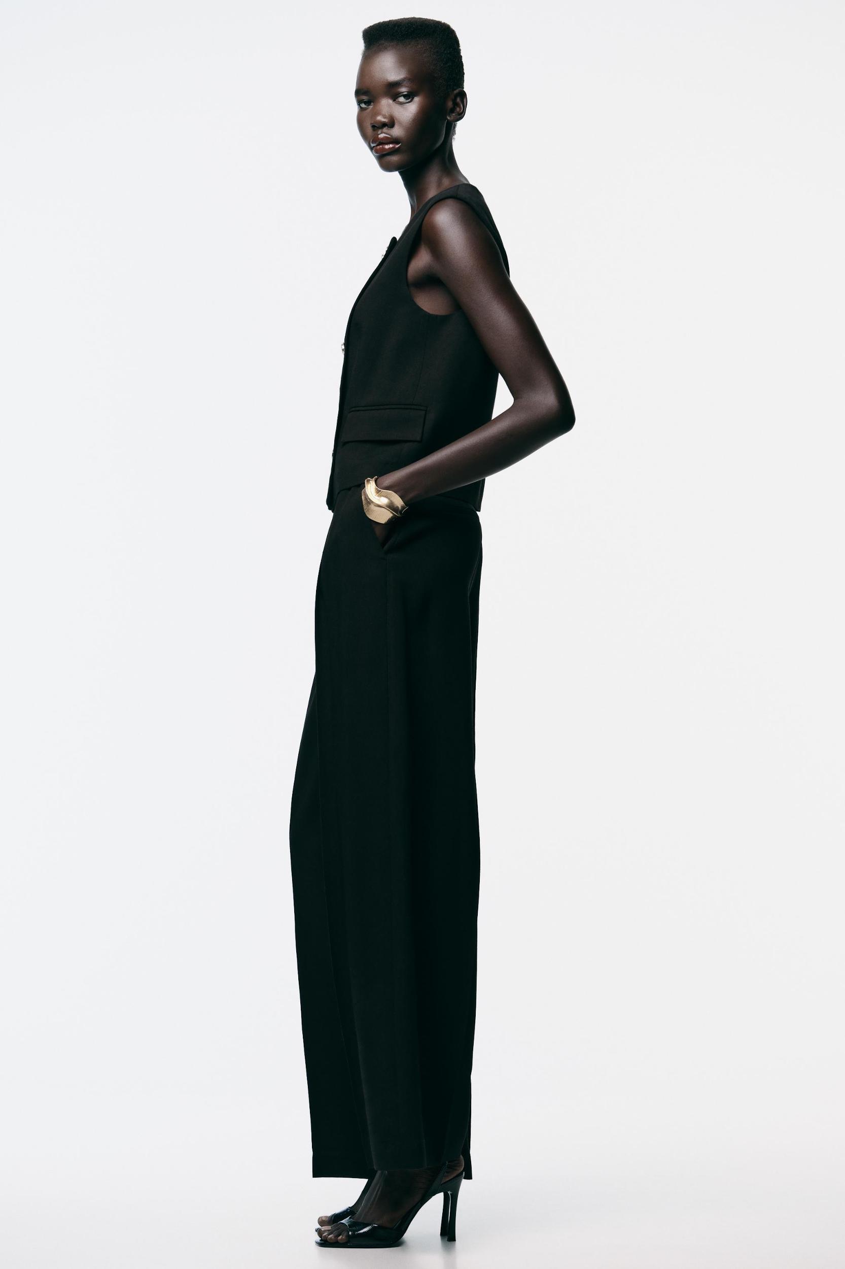 WIDE LEG PLEATED PANTS Product Image
