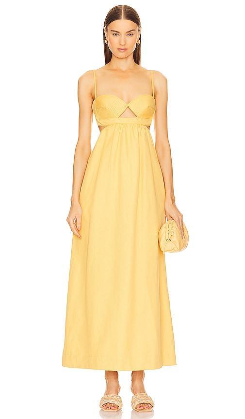 Maxi Dress ADRIANA DEGREAS Product Image