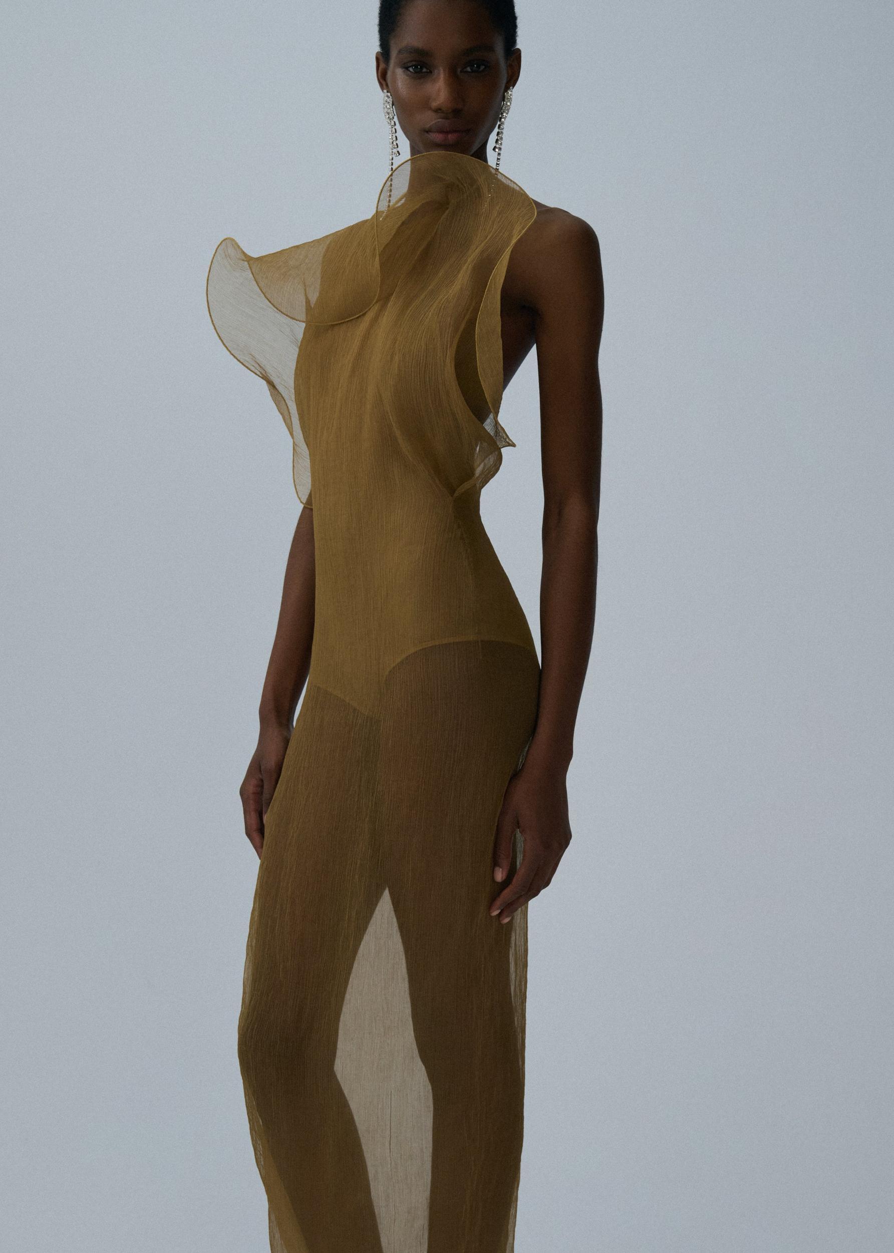 Silk organza gown in beige Product Image