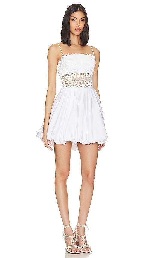 Zyaire Mini Dress NBD Product Image