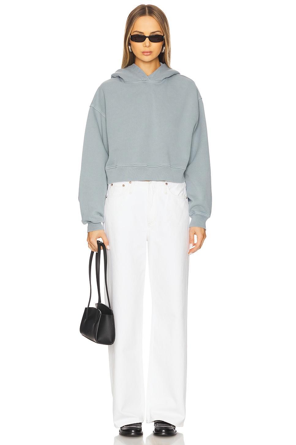 Mari Hoodie AGOLDE Product Image