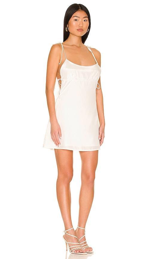 Tanea Mini Dress superdown Product Image