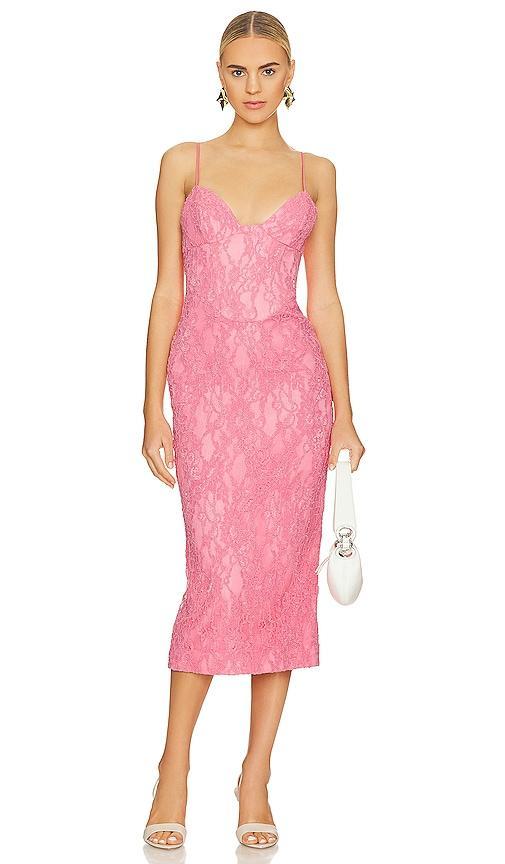 Hadley Midi Lace Dress Bardot Product Image