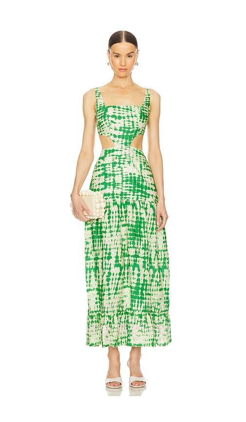 Bellarose Maxi Dress Maaji Product Image