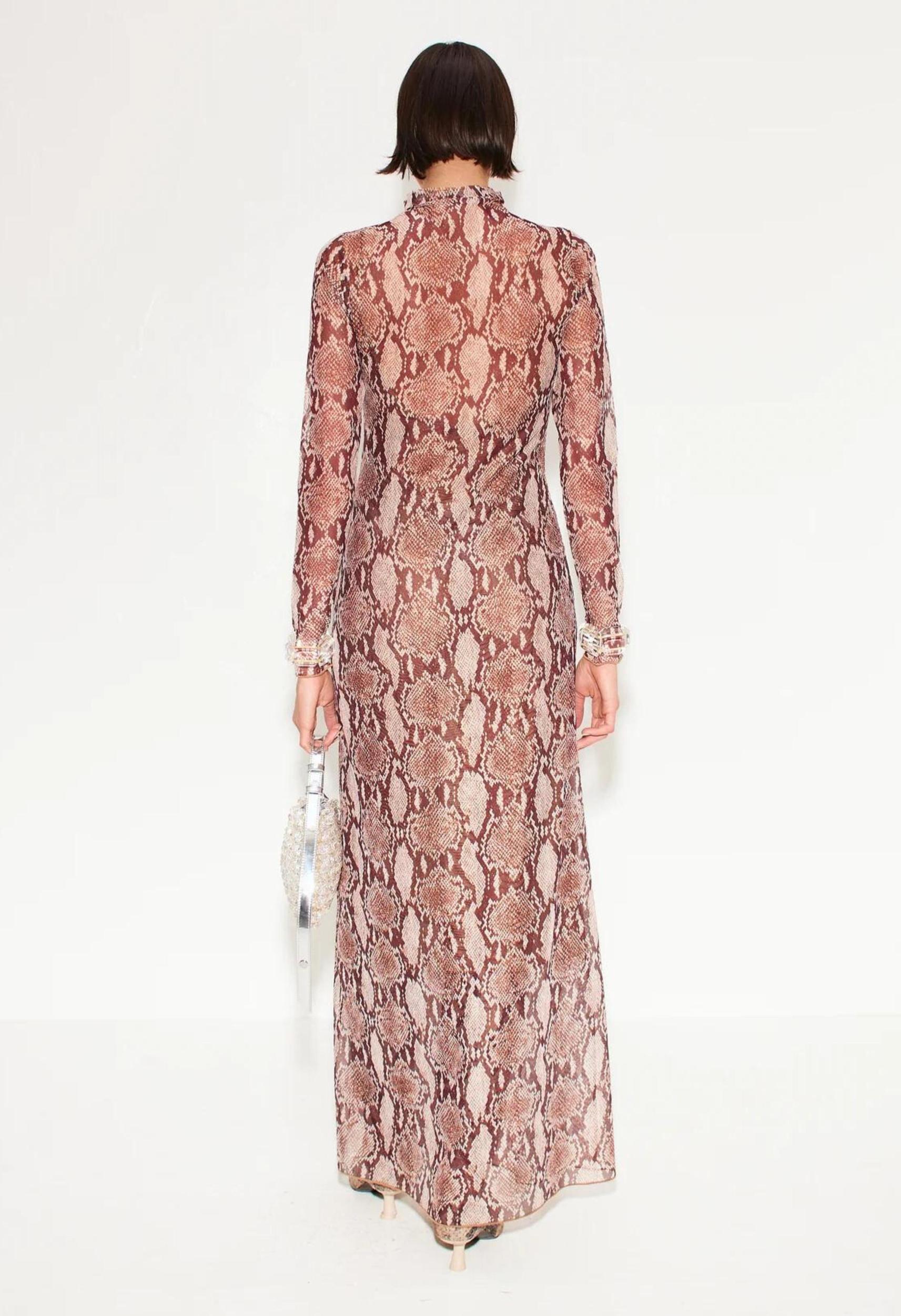 Zesty Mesh Dress Product Image