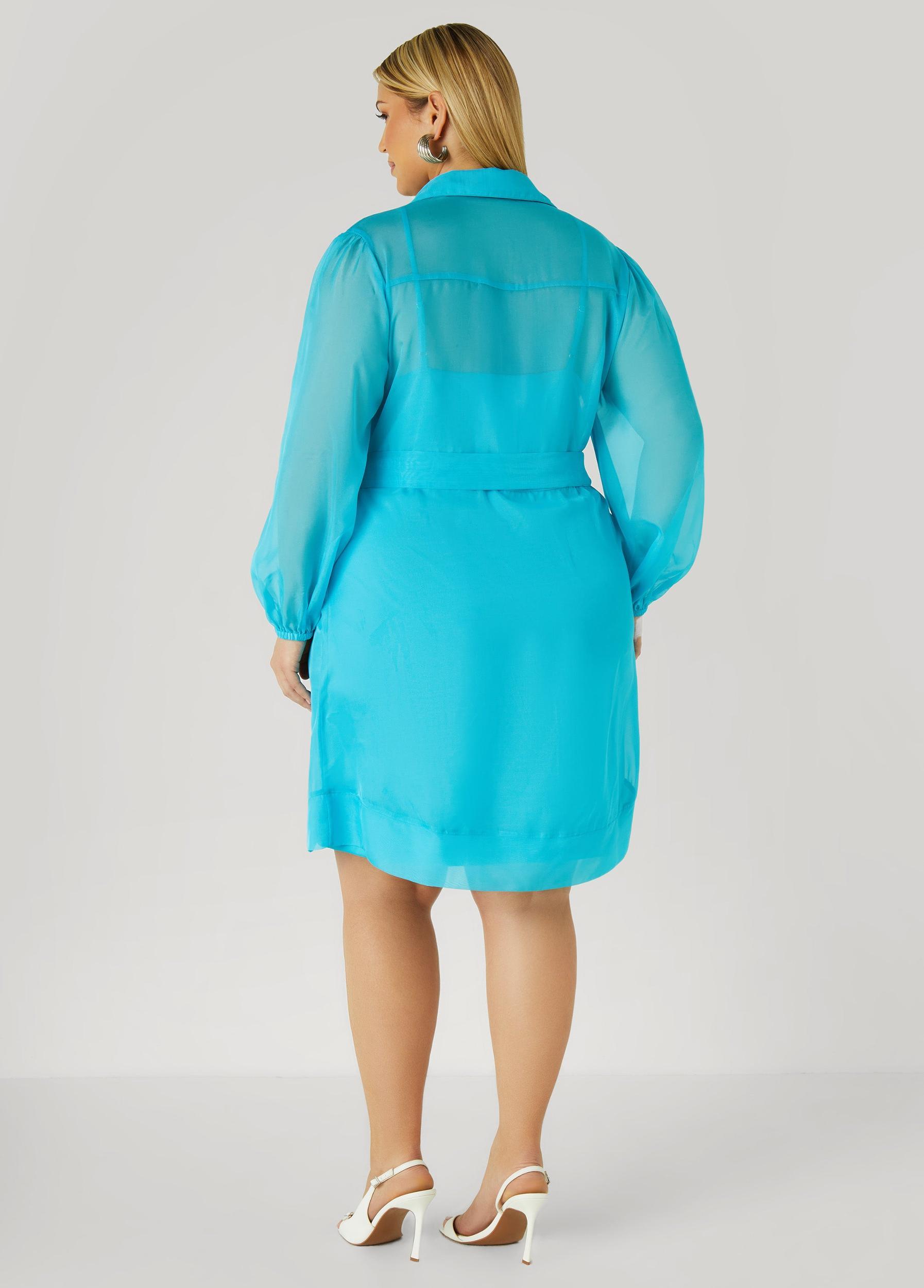 Organza Shirtdress Product Image