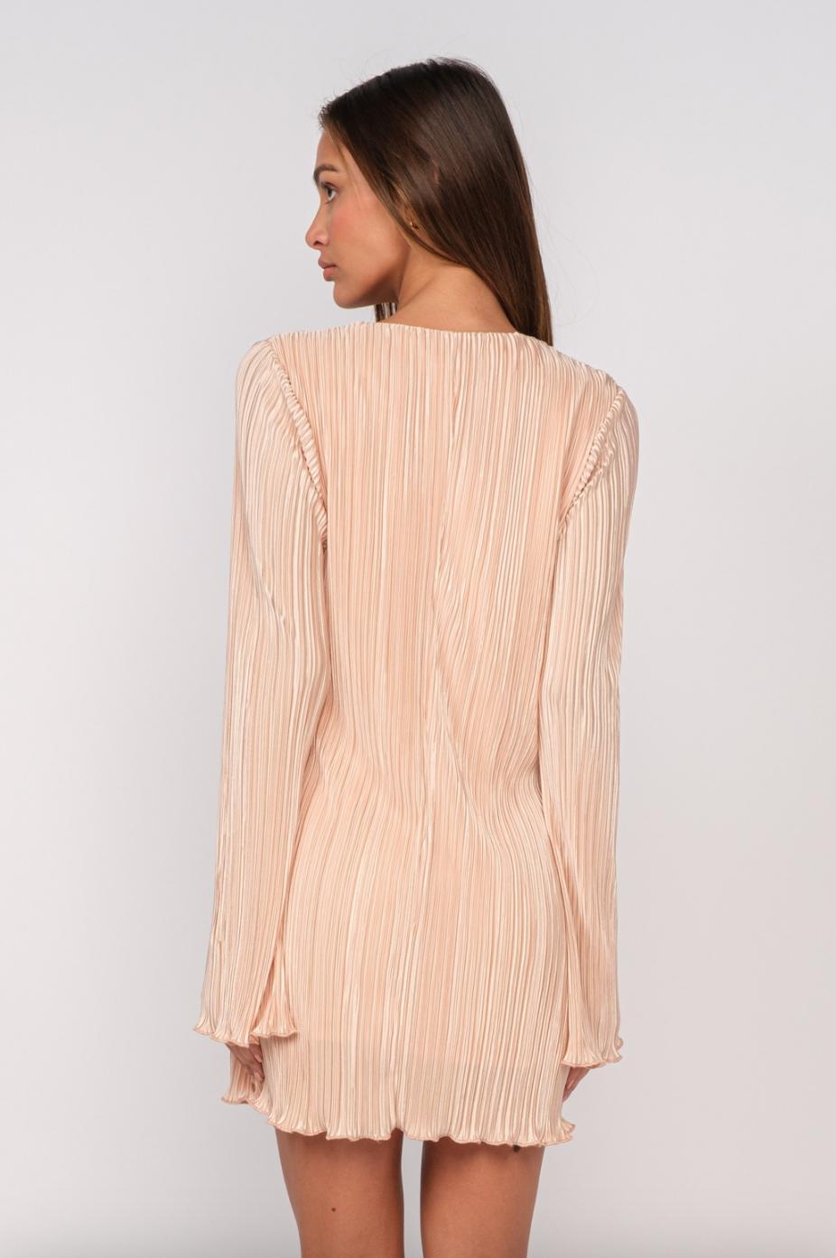 Amelia Mini Dress Product Image
