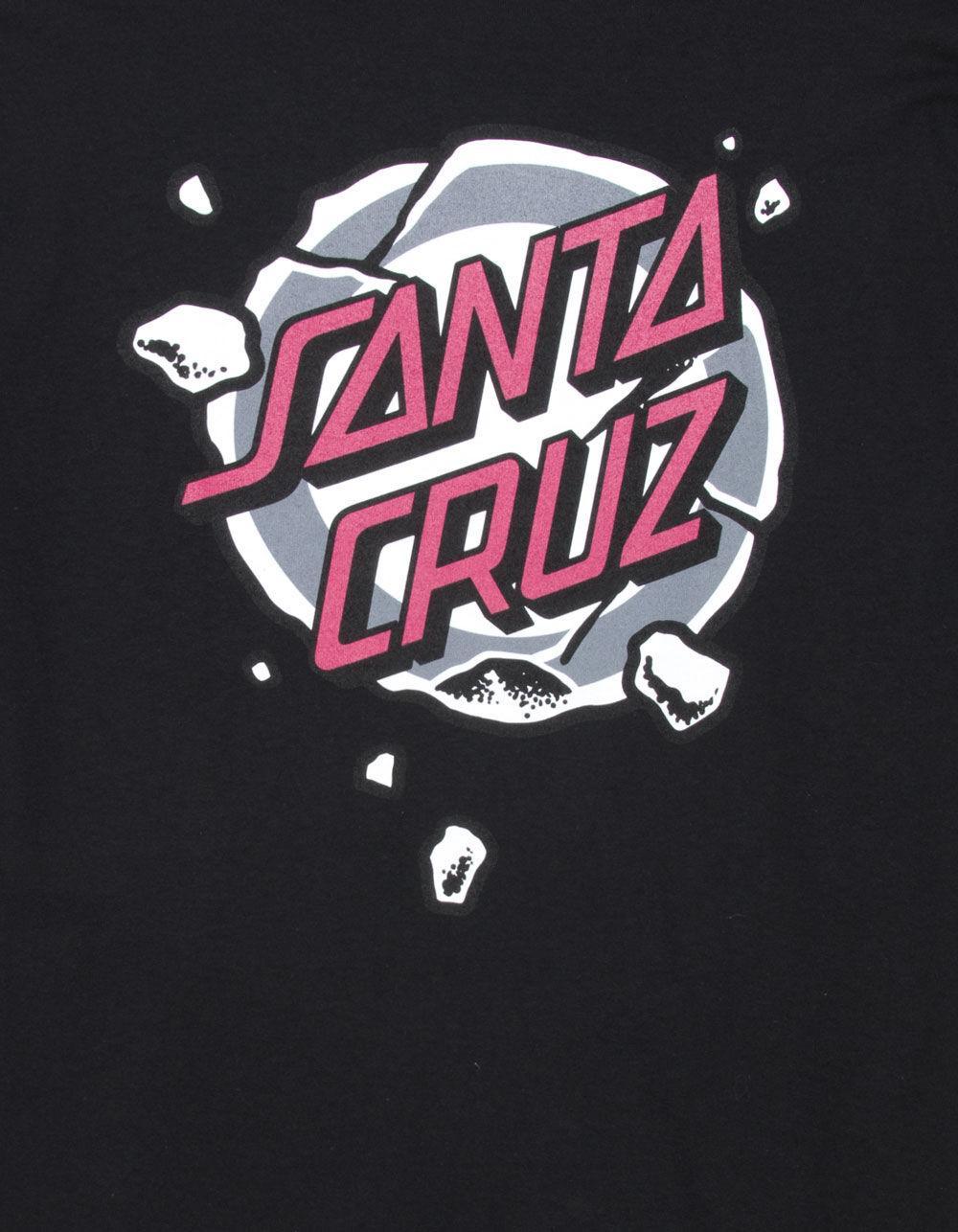 SANTA CRUZ Roskopp Destroyer Mens Tee Product Image