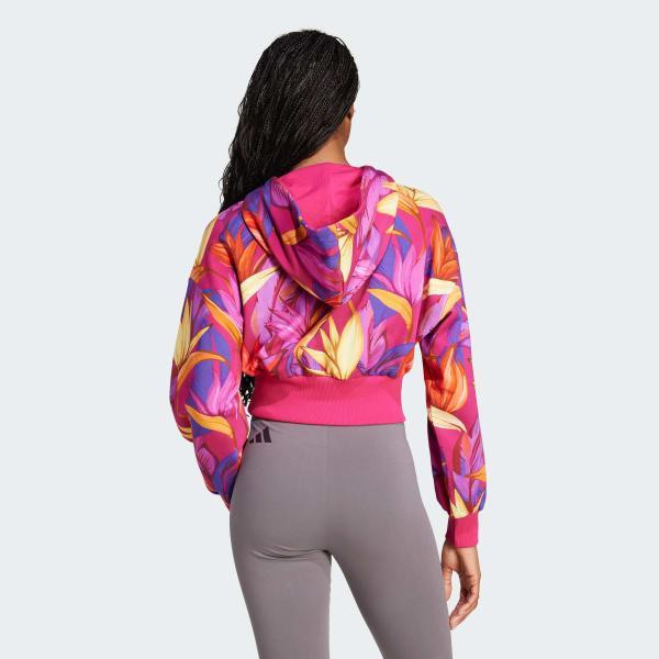 adidas x FARM Hoodie Product Image