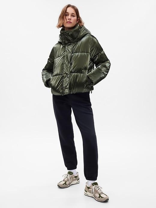 Big Puff Cropped Jacket Product Image