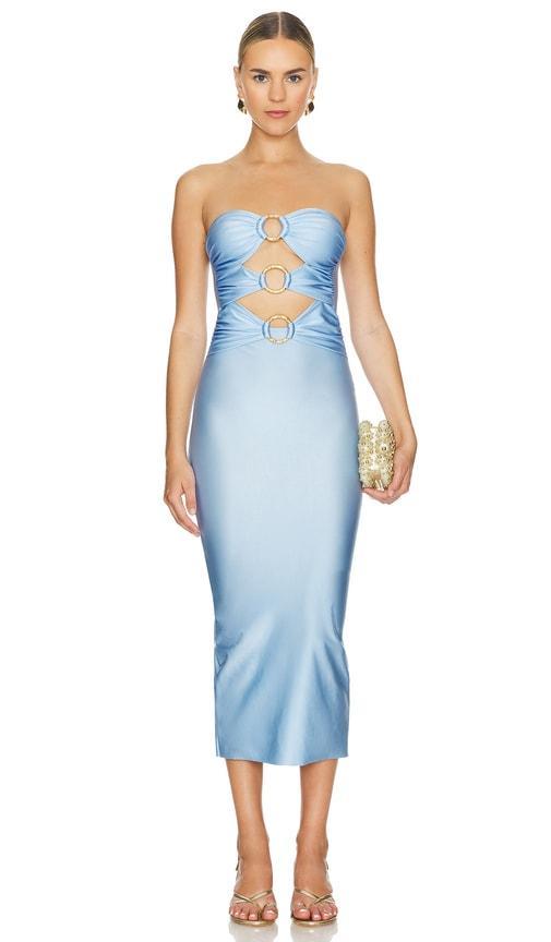 Lily Maxi Dress Shani Shemer Product Image