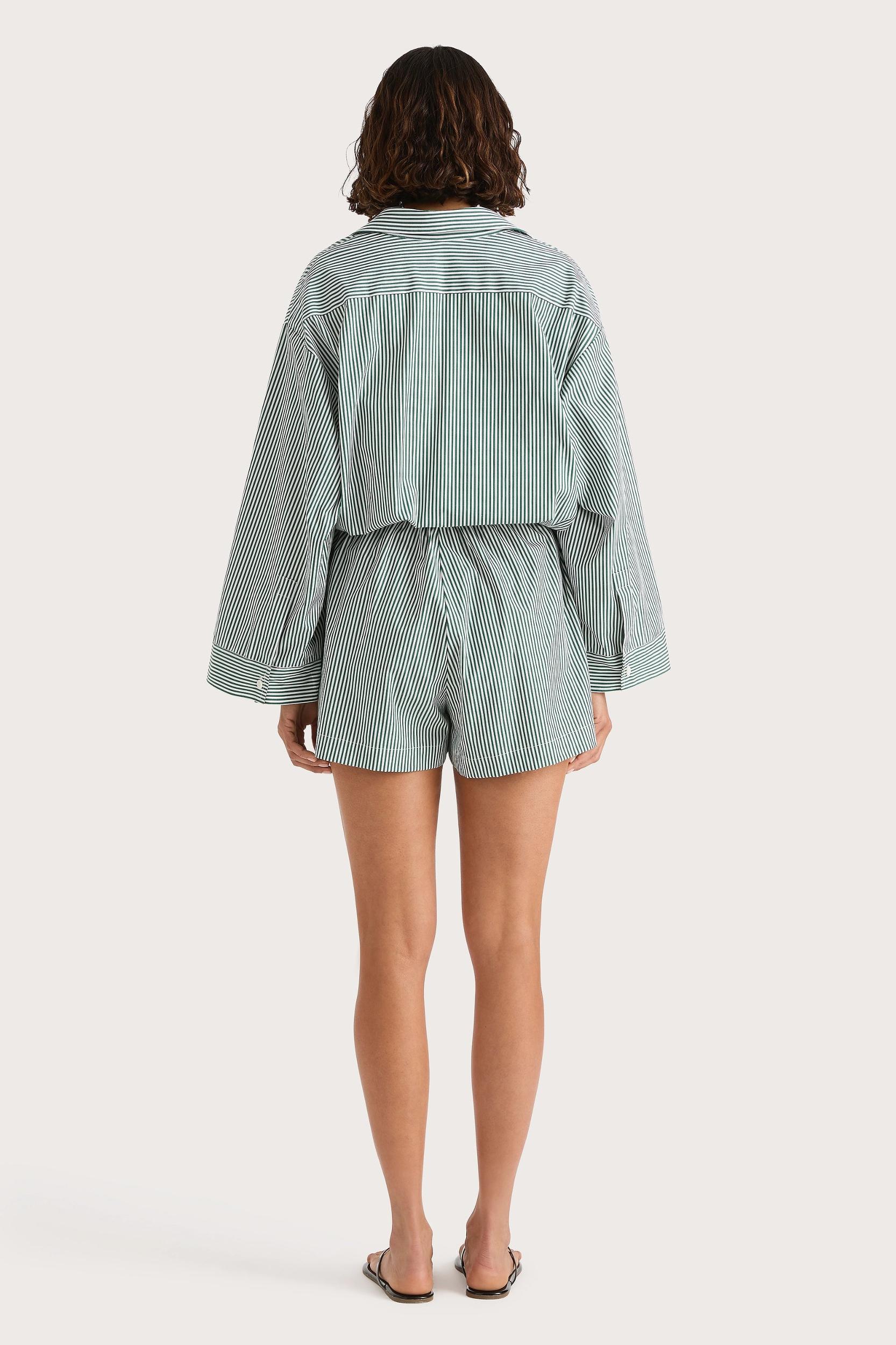 Marianne Midi Dress Green Stripe Product Image