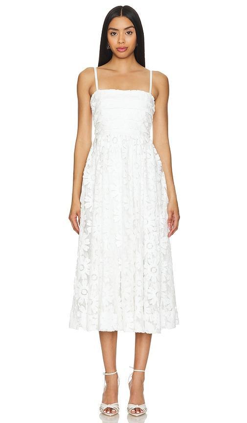 Geno Midi Dress LIKELY Product Image