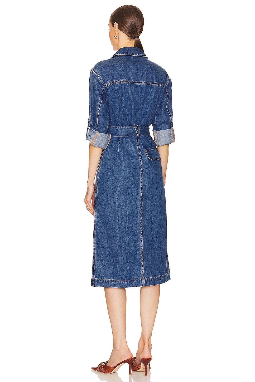 Evelyn Dress Veronica Beard Product Image