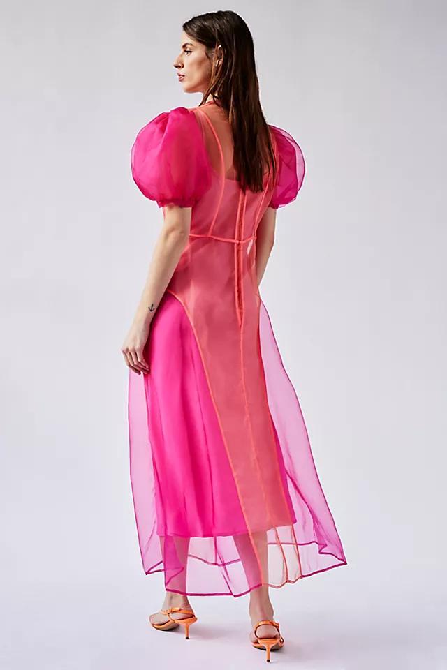 CeliaB Nammu Dress Product Image