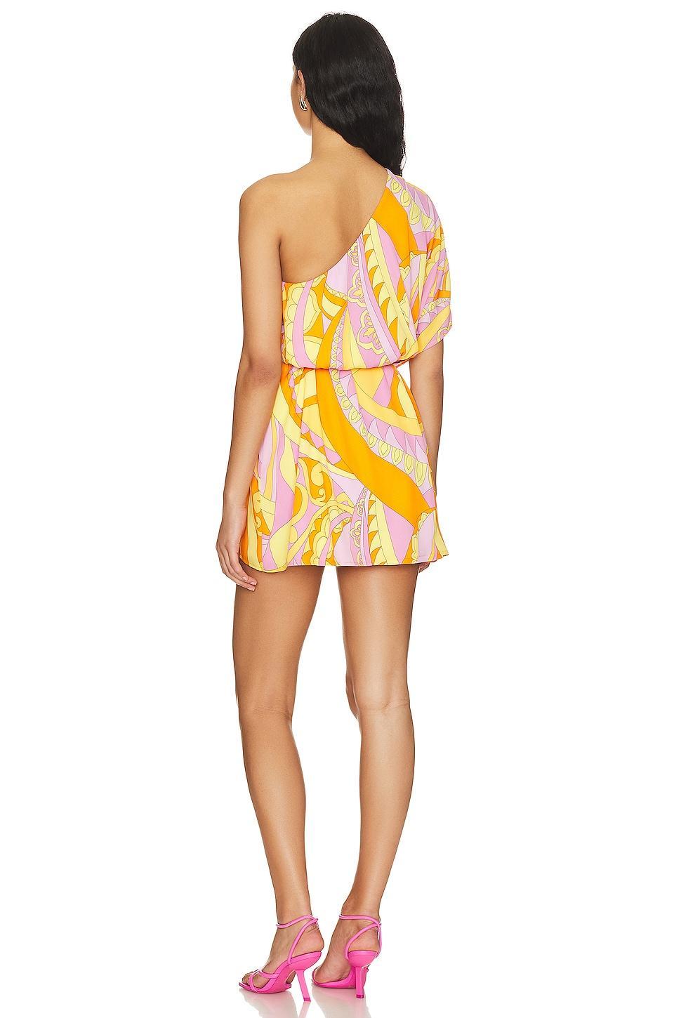 Trish Dress Show Me Your Mumu Product Image