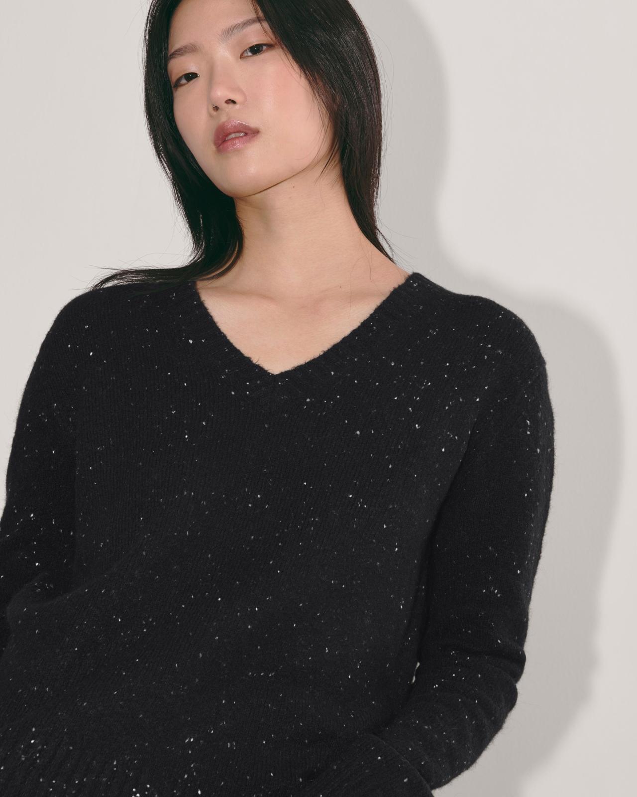 Womens V-Neck Sweater in Plush Cotton by Everlane Product Image