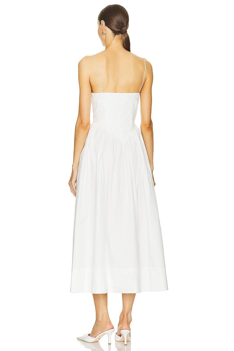 Carmine Dress Ronny Kobo Product Image