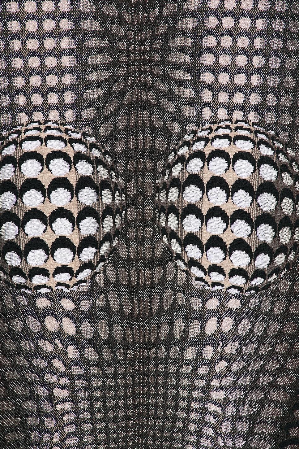 Moon Skin Jacquard Knit Fitted Sweater Product Image