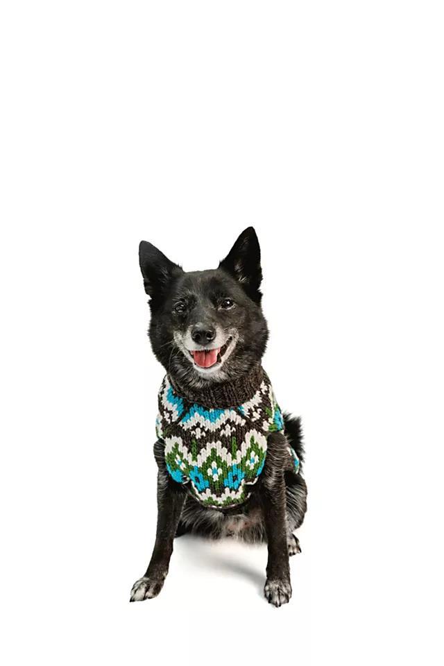 Chilly Dog Fairisle Dog Sweater Product Image