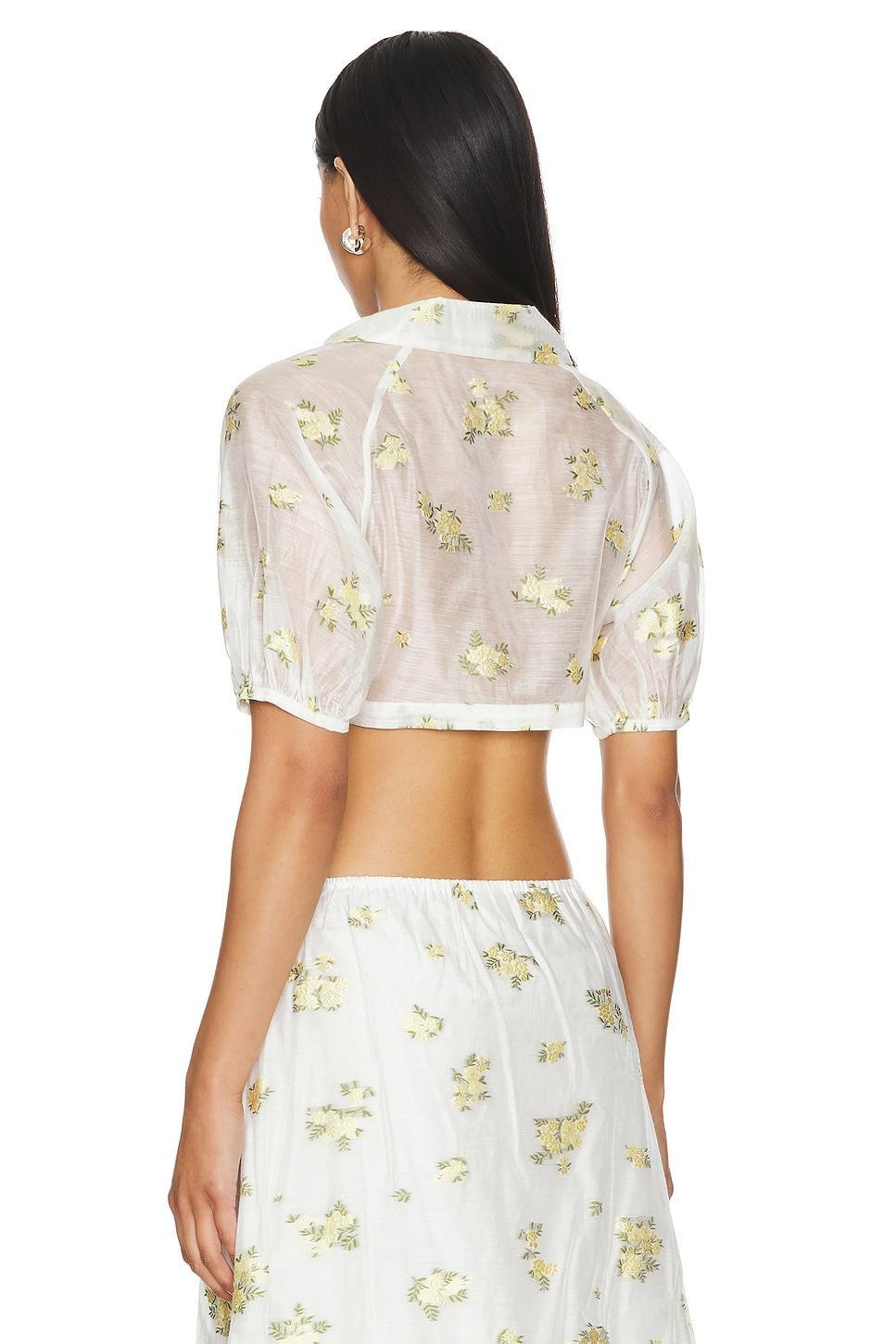 BLUSA DE GASA JACQUARD Product Image
