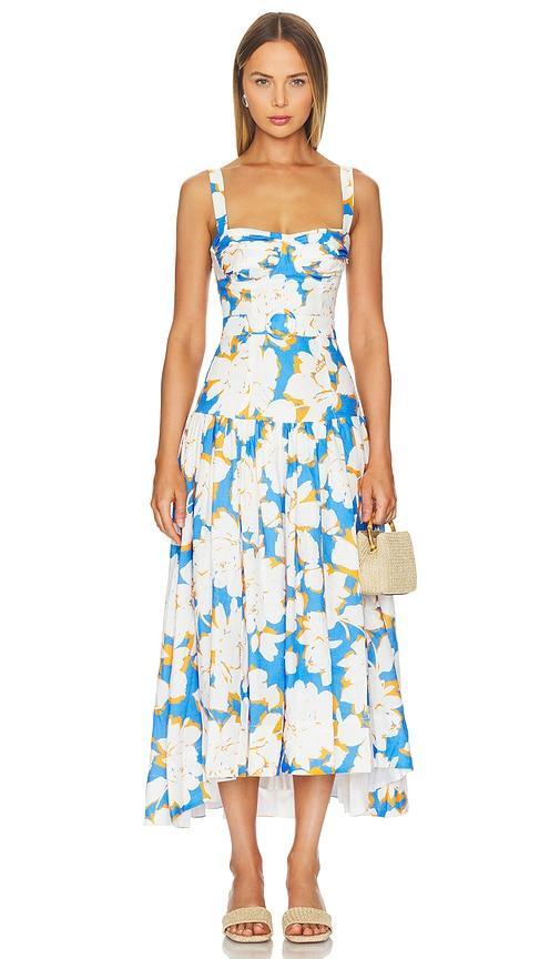 Drenica Drop Waist Corset Midi Dress Product Image