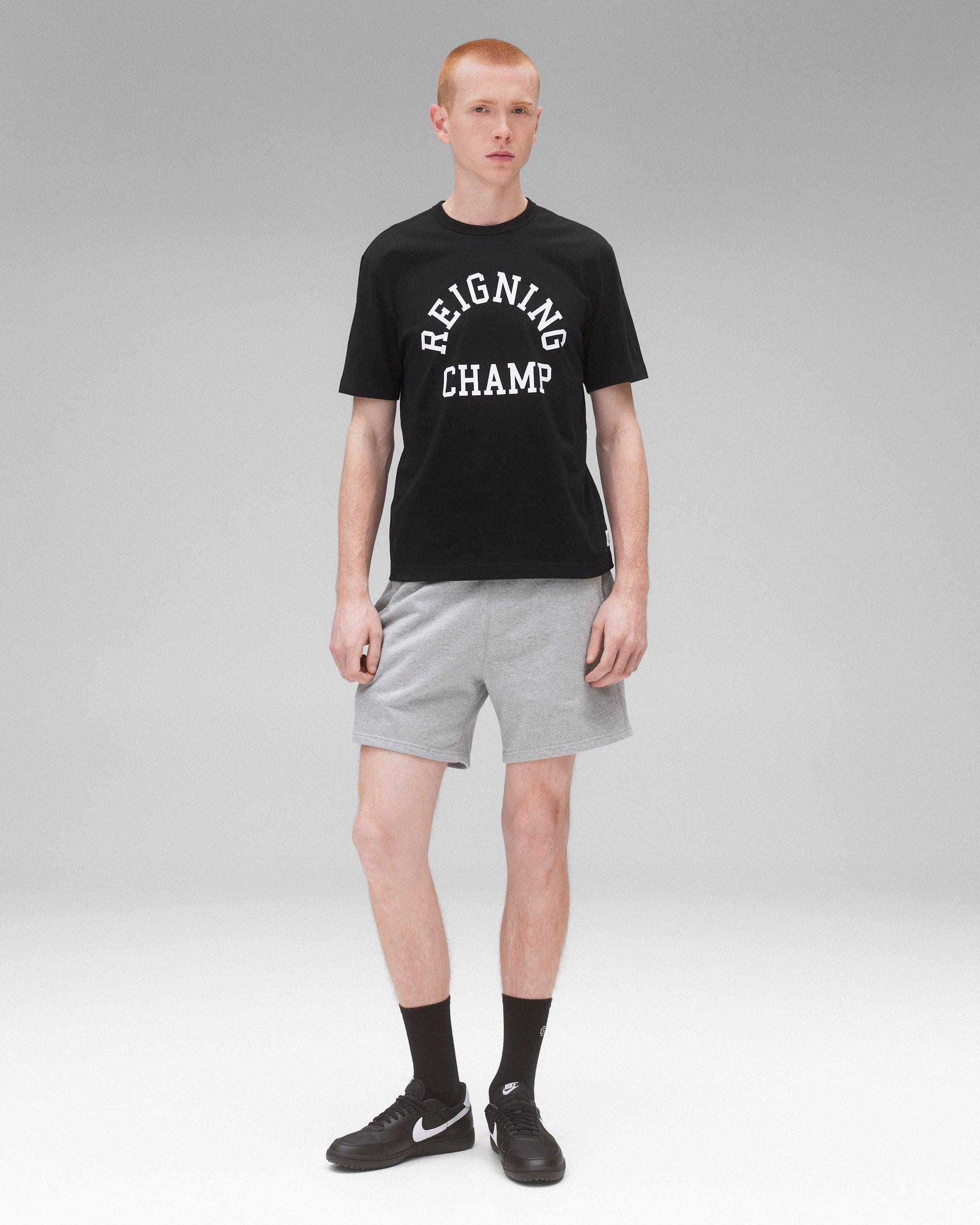 Lightweight Jersey Standard Raglan T-Shirt Male Product Image