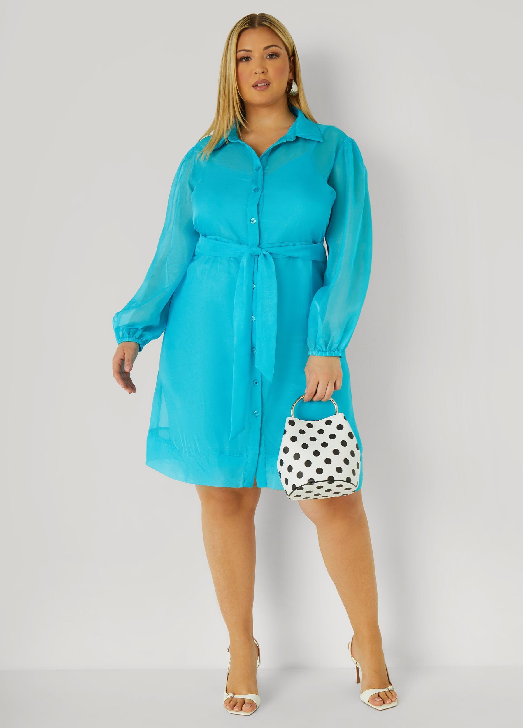 Organza Shirtdress Product Image