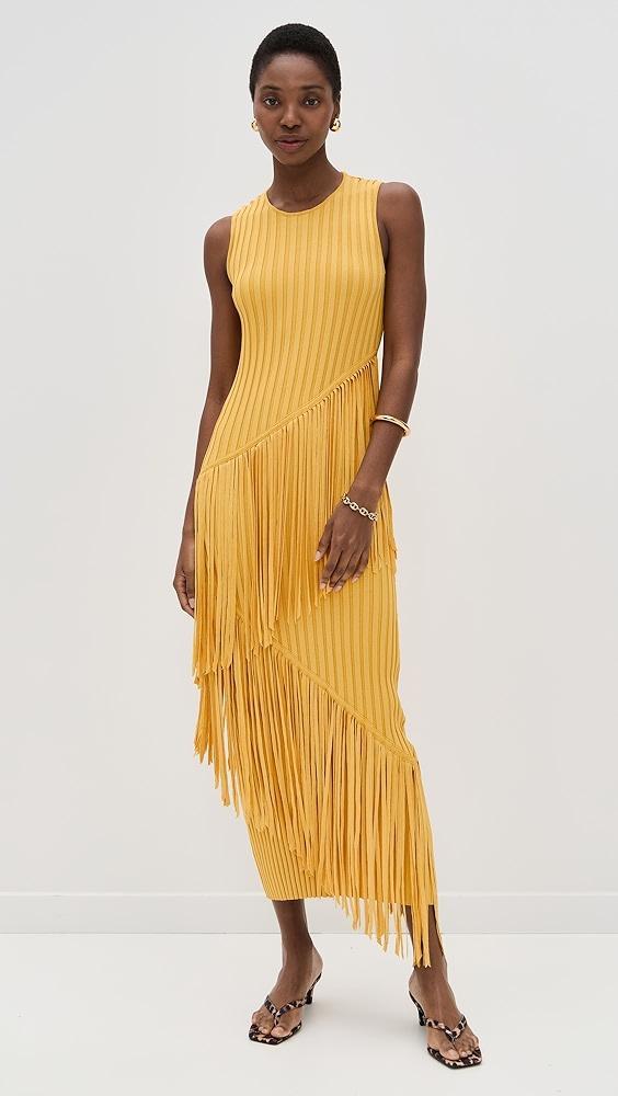 SIMONMILLER Spiral Dress | Shopbop Product Image