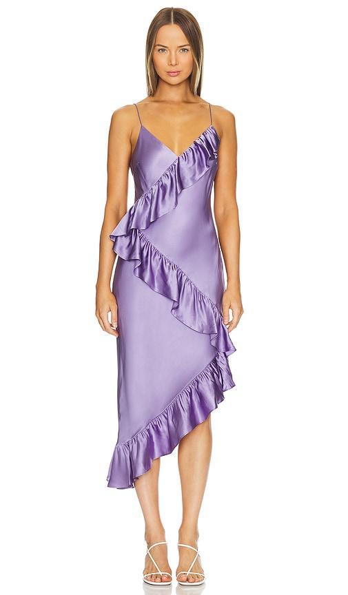 Dua Dress CAMI NYC Product Image