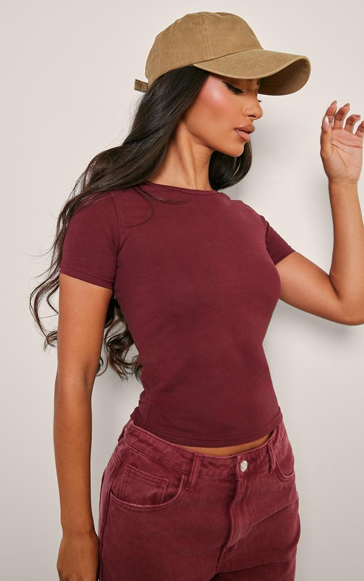 Petite Burgundy Premium Cotton Short Sleeve T-shirt Product Image