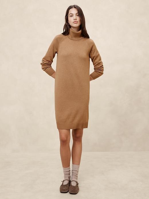 Turtle-Neck Sweater Dress Product Image