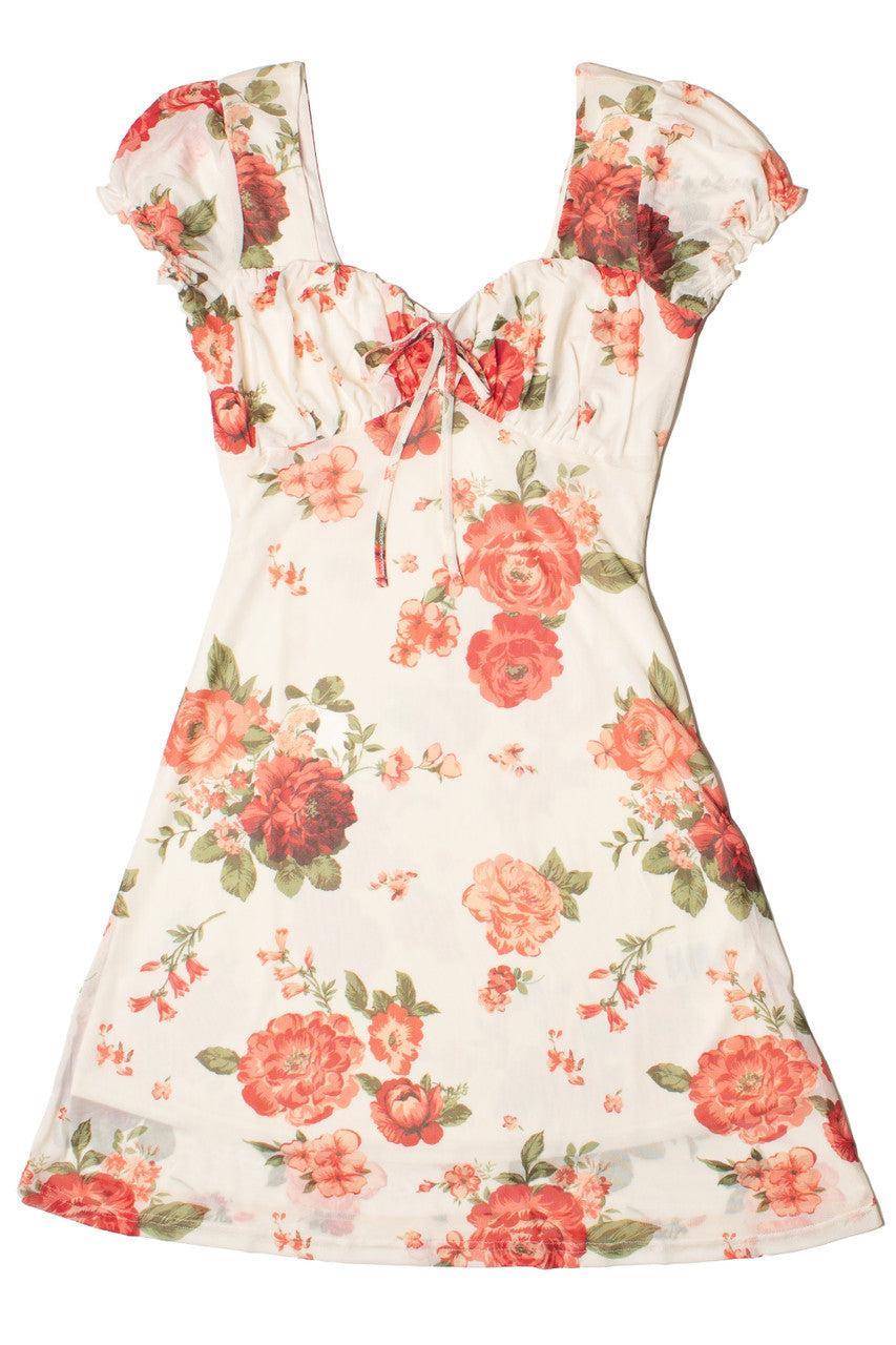 Puff Sleeve Floral Mesh Mini Dress Product Image