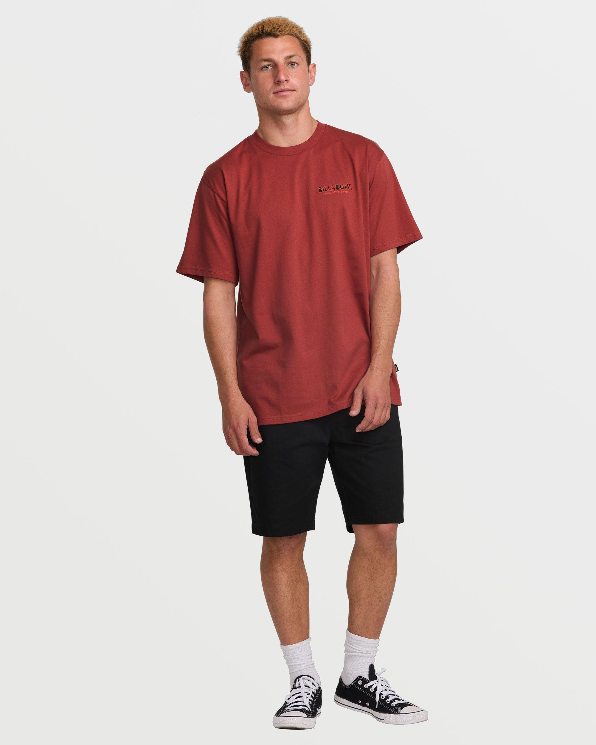 Twin Peaks Regular Tee - Dusty Red Male Product Image