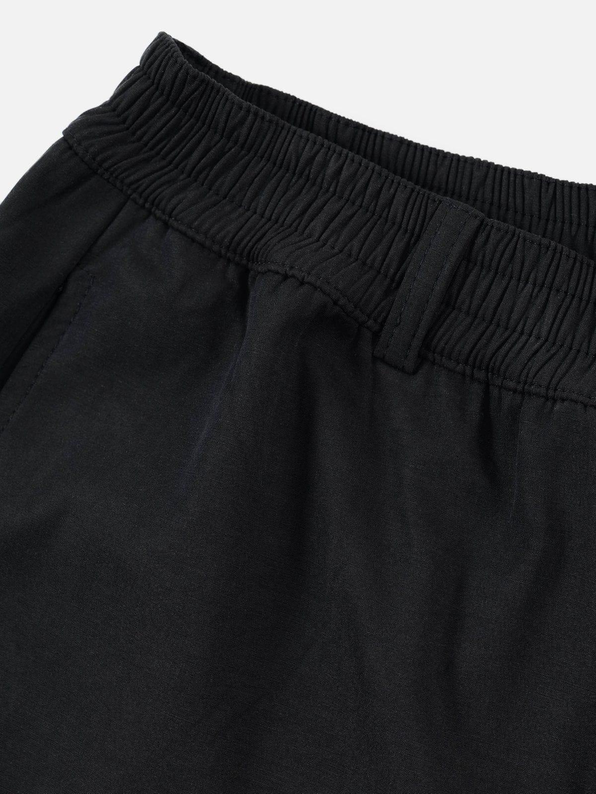 Aelfric Eden Big Pocket Shorts Product Image