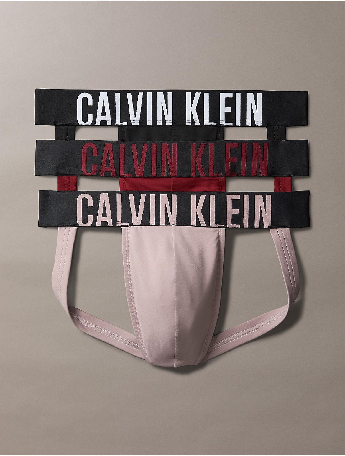 Mens 3-Pack Intense Power Pride Logo Jock Strap Product Image