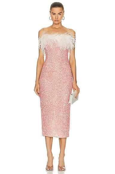 Came Dress Product Image