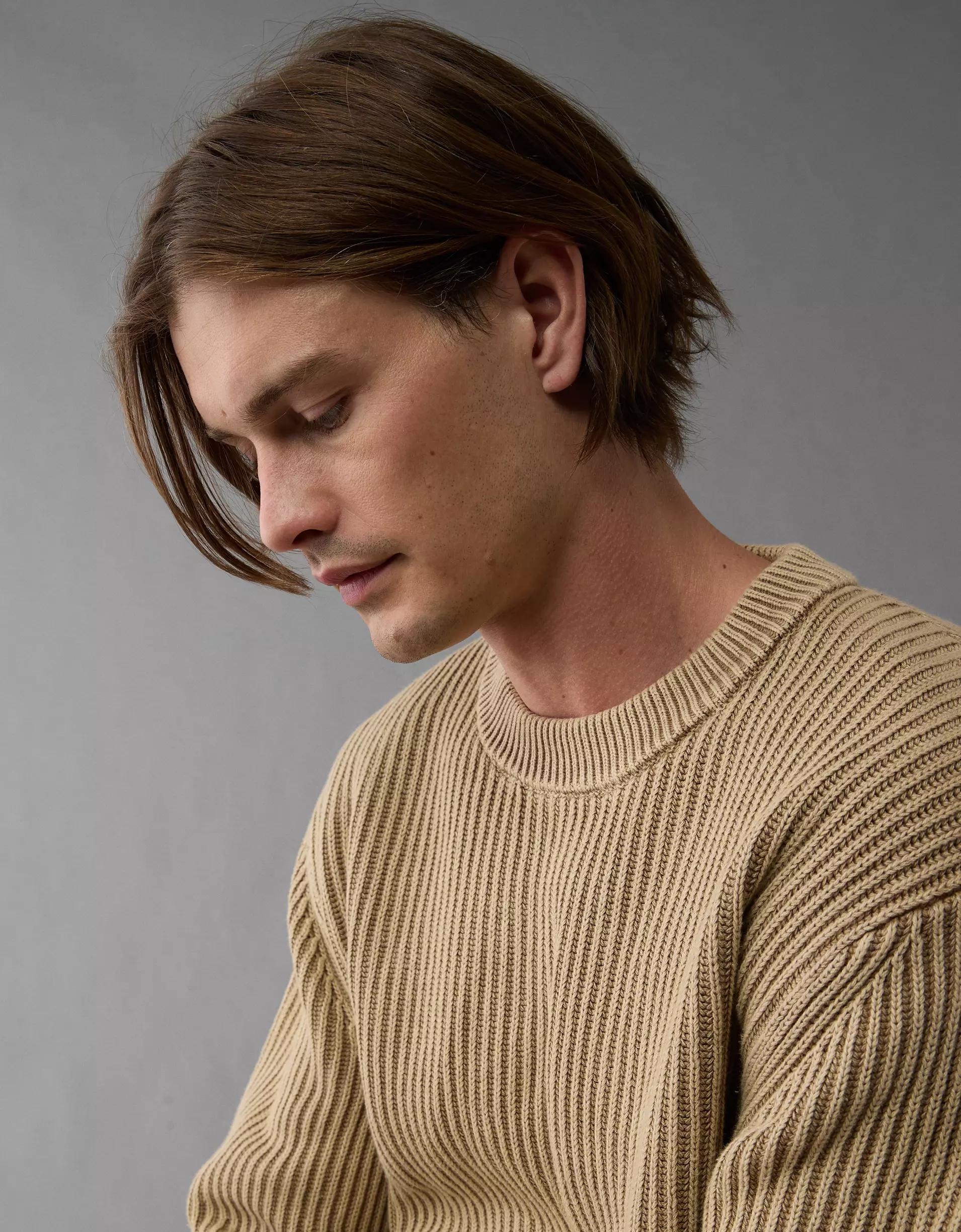 AE Shaker Stitch Crew Neck Sweater Product Image