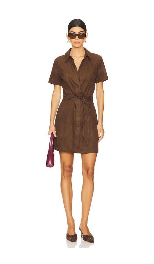 Jolene Dress Steve Madden Product Image