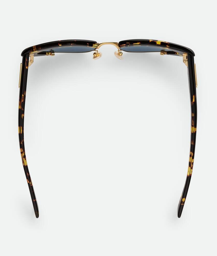 Angle Cat Eye Sunglasses in Havana/havana/blue Product Image
